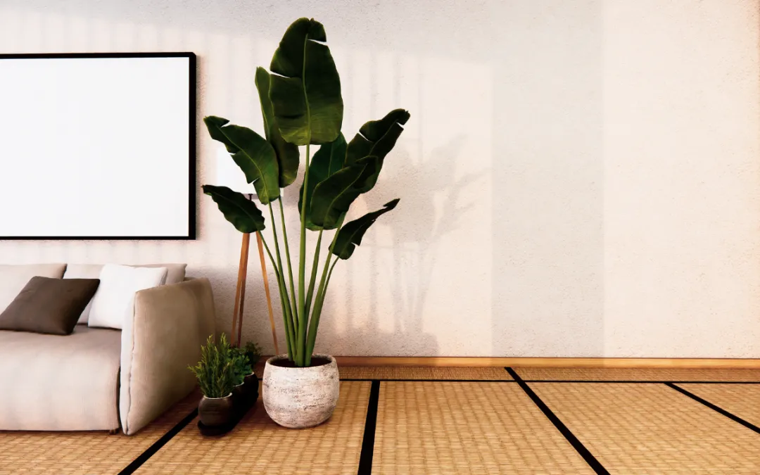 Selecting The Right Distribution Source For Japanese Home Goods For Designs