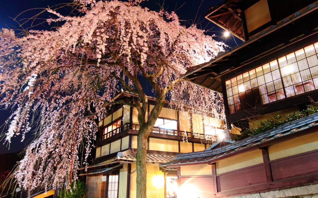 Preserving History: Traditional Japanese Housing Maintenance Tips