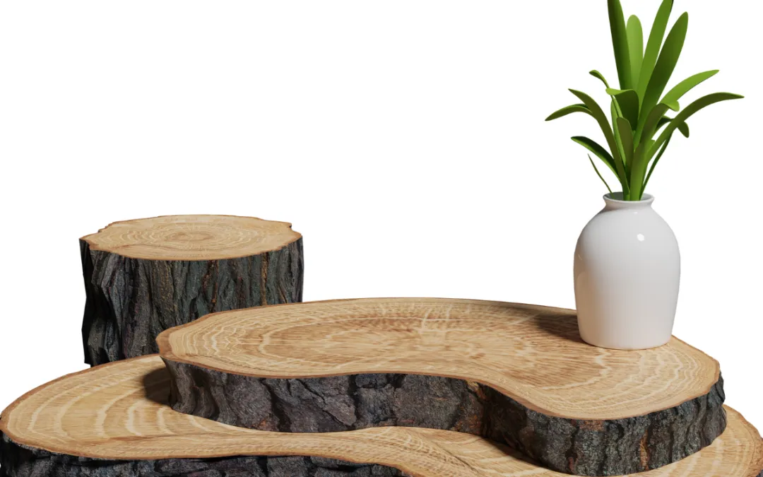Style your Home With Exquisite Wooden Vases: A Luxury Décor Guide For New Homeowners